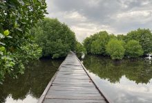 Bontang Mangrove Park